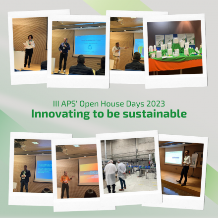 innovation and sustainability